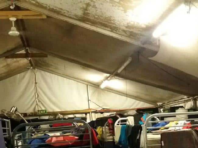 Amnesty International