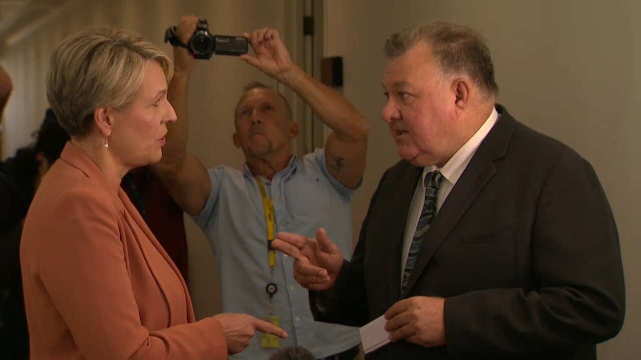 Labor MP Tanya Plibersek and Liberal MP Craig Kelly