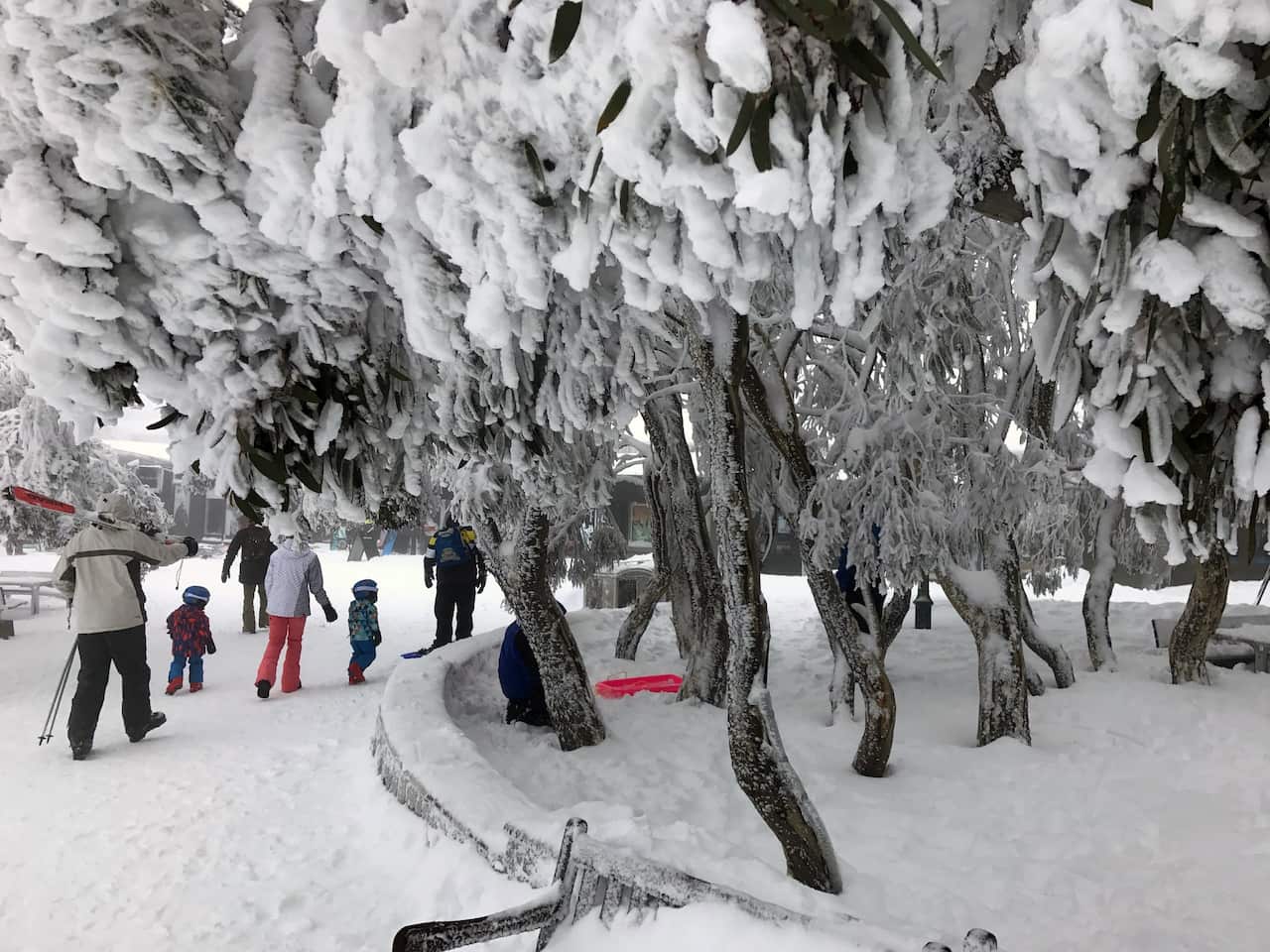 Cold weather is expected for the rest of the weekend.