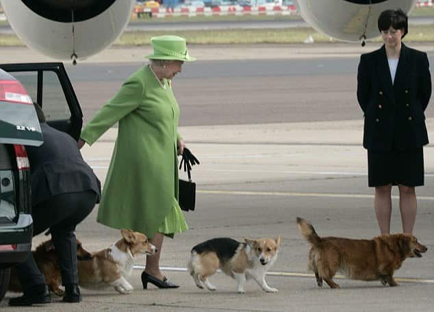 The Queen arrived from Canada and departed for Scotland accompanied by her corgis. 