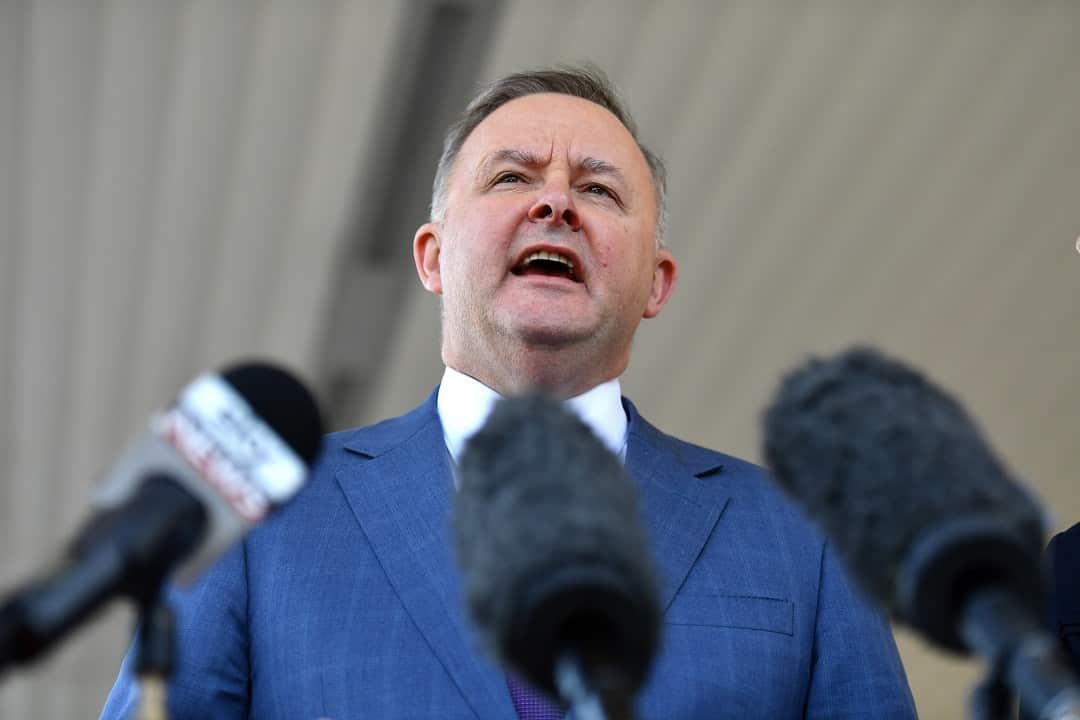 Senior Labor frontbencher Anthony Albanese has refrained from making comments on Emma Husar until the investigation is completed.