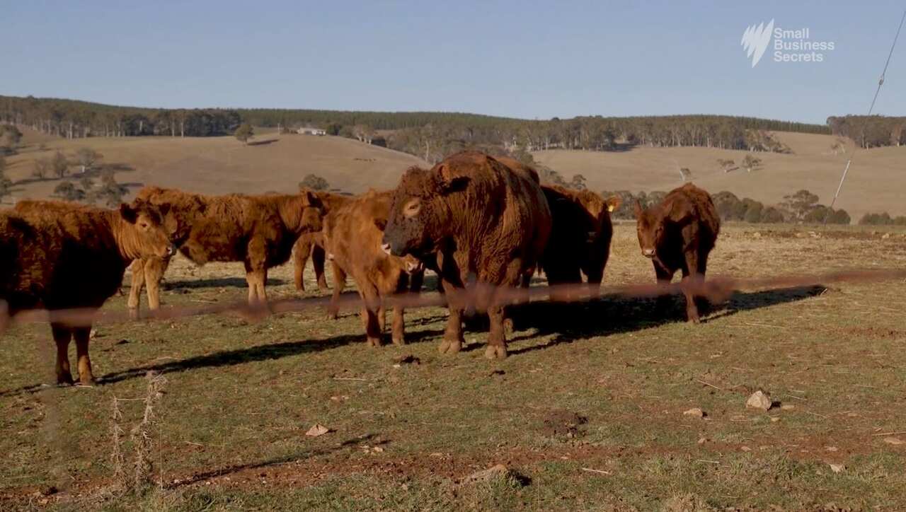 Australian grass fed Demeter certified Cowobbee beef, raised at Oberon NSW.