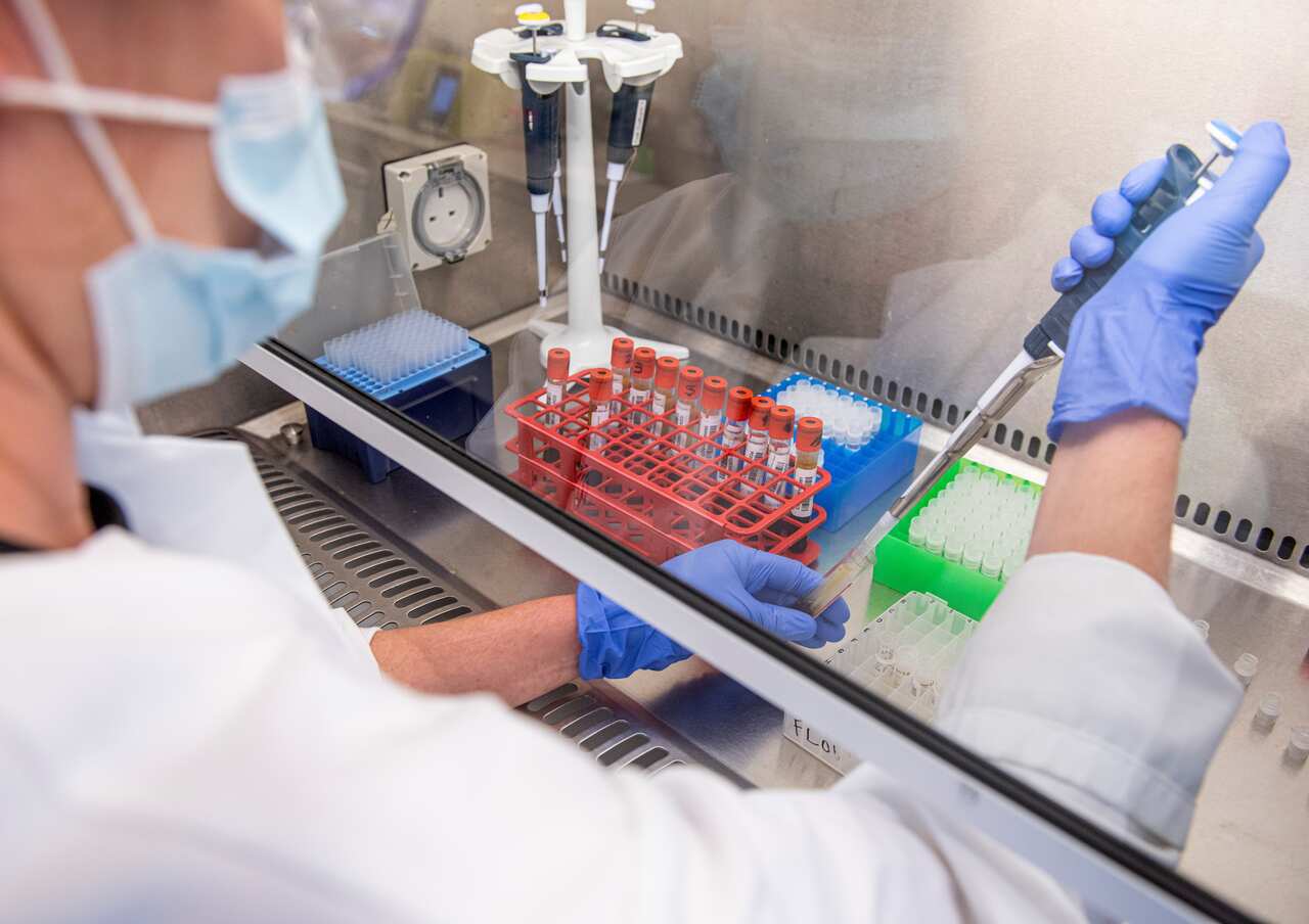 Samples from coronavirus vaccine trials are handled inside the Oxford Vaccine Group laboratory