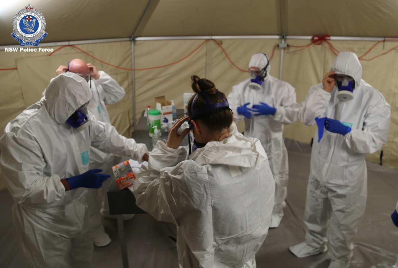 Strike Force Bast conduct inquiries on-board the Ruby Princess