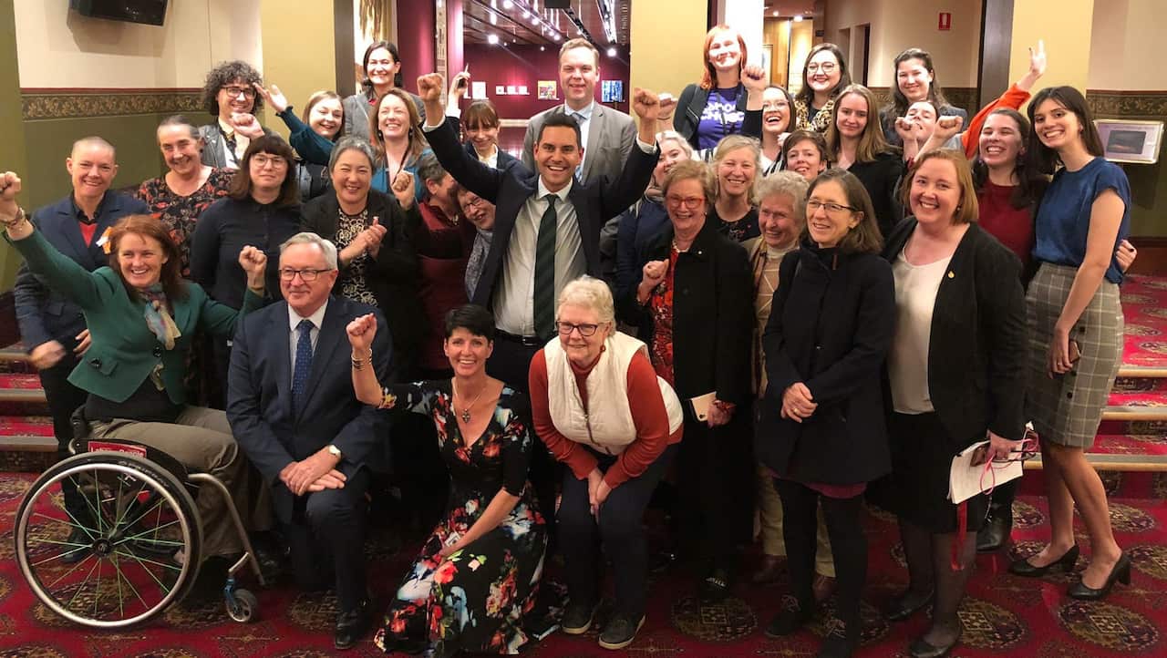 Members of NSW's lower house erupt into cheers as the bill to decriminalise abortion passed the lower house.