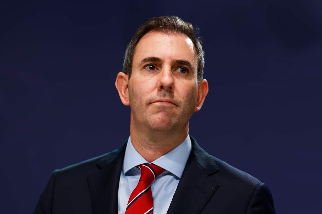 Shadow Treasurer Jim Chalmers says the Australian economy needs both Qantas and Virgin to survive the pandemic.