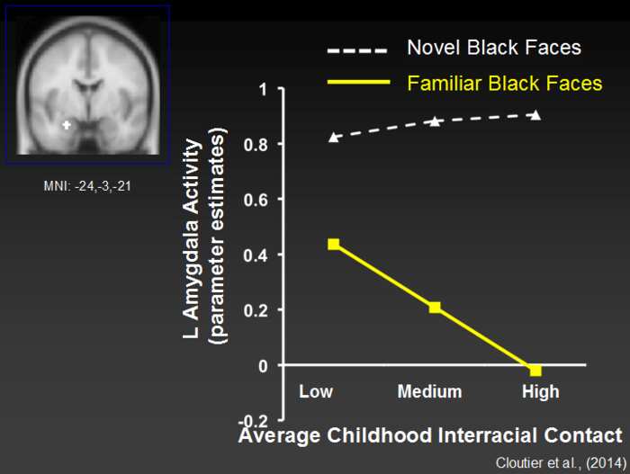 interracial facial recognition brain activity