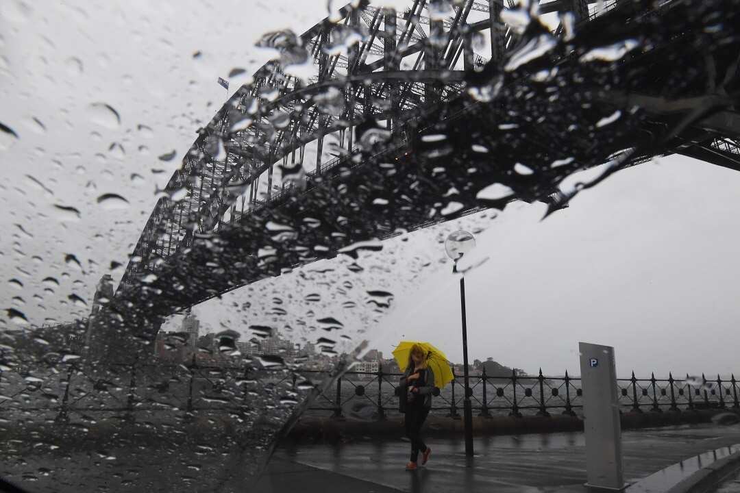 A month's worth of rain pelted down in Sydney in just two hours on Wednesday morning. 