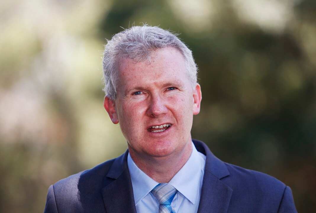 Manager of Opposition Business Tony Burke.