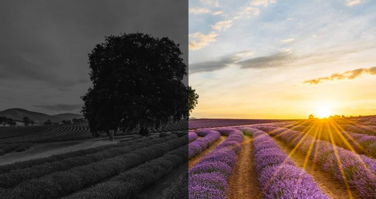 Mental Health Australia