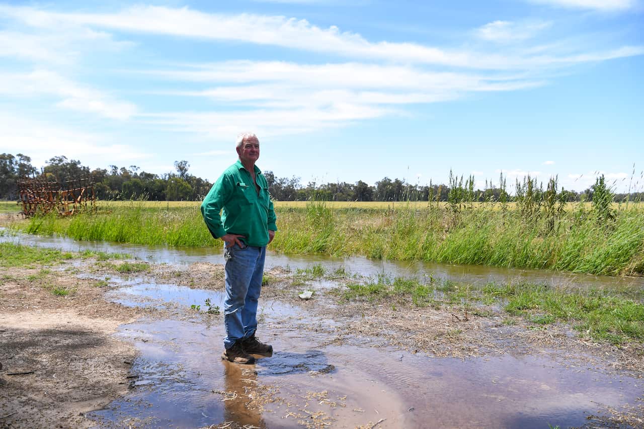 Farmer Michael Green watches flood water slowly rises at his family property outside the town of Forbes, NSW.