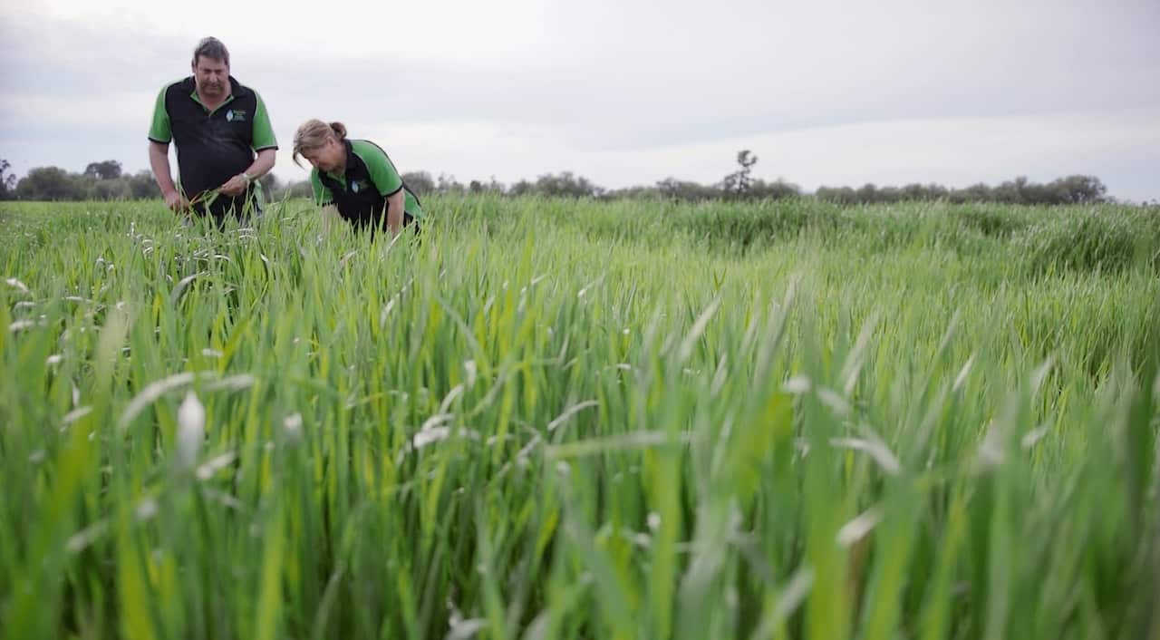The Walkers spent a quarter of a million dollars starting their business.