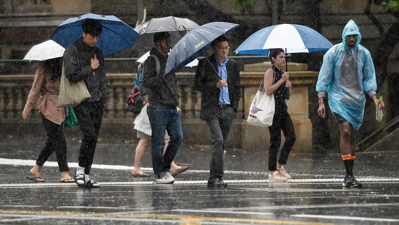 Pedestrians hold umbrellas as they walk in heavy rain in Sydney's CBD.