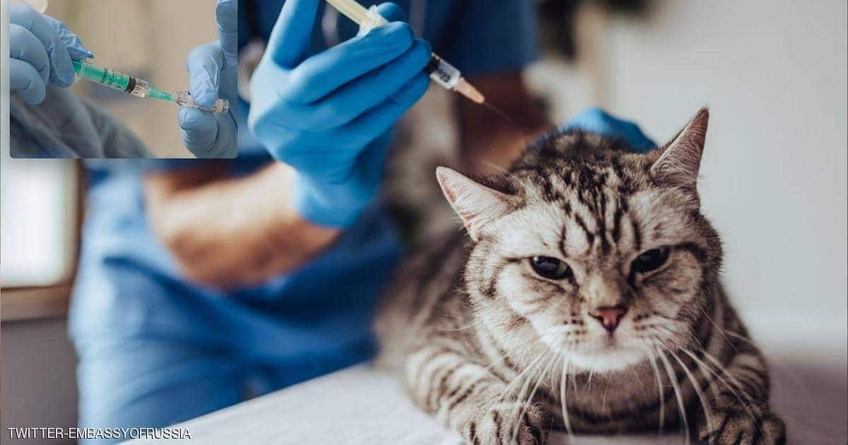 COVID-19 VACCINE FOR ANIMALS: RUSSIA LAUNCHES PET VACCINATION AGAINST CORONAVIRUS WITH CARNIVAC-COVE VACCINE