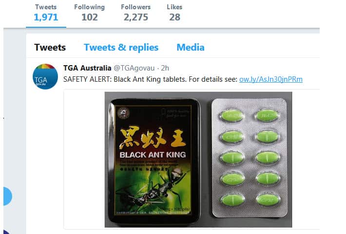 Safety Alert: Black Ant King