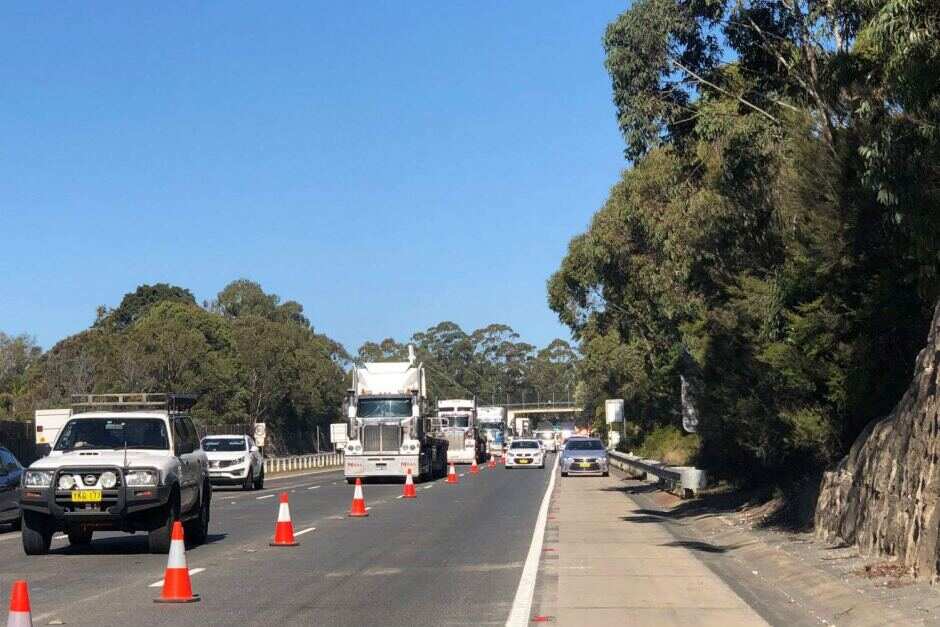 Sydney woman Qi Yu's body found by highway, police believe