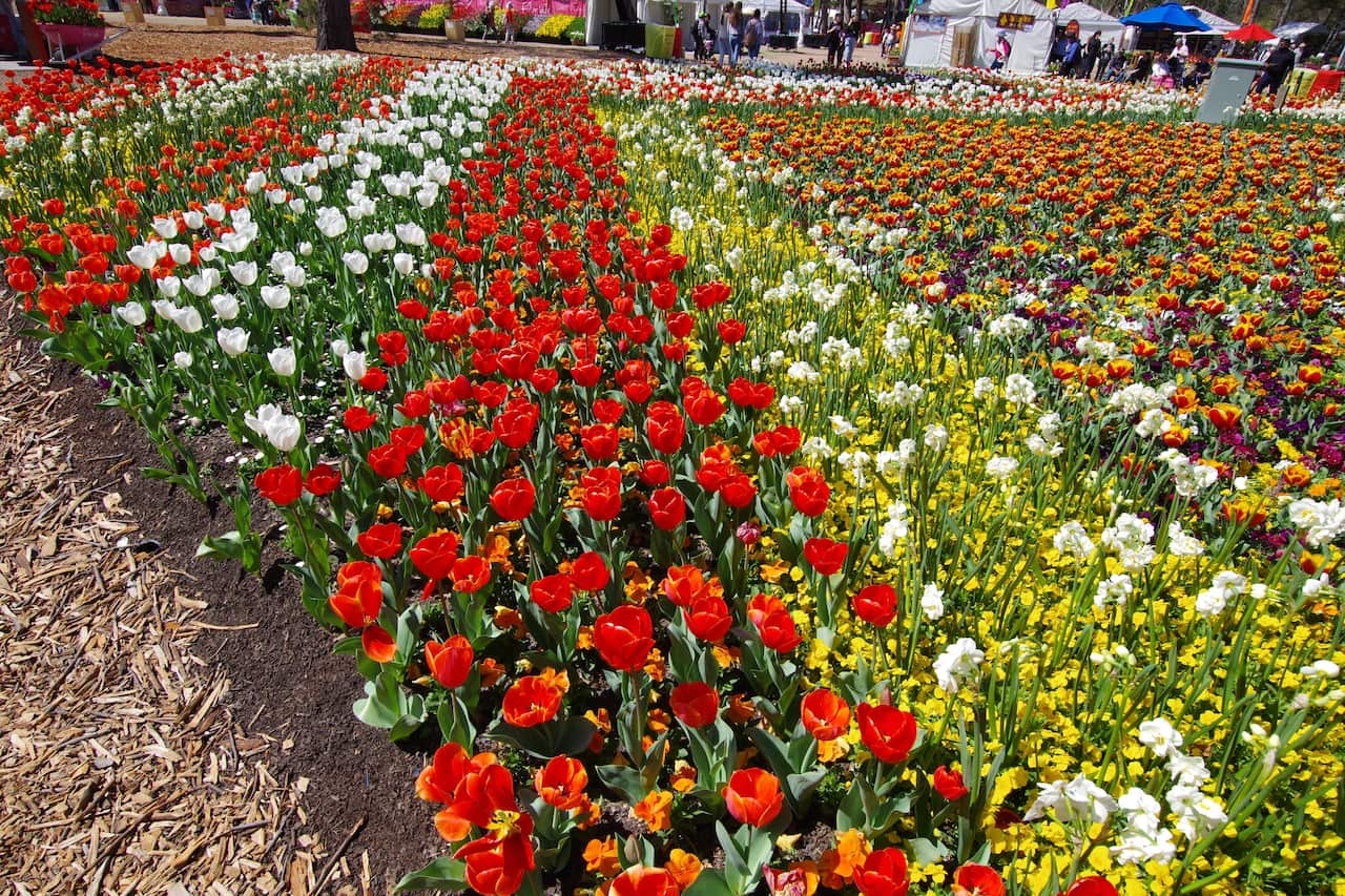 Canberra Floriade. 
