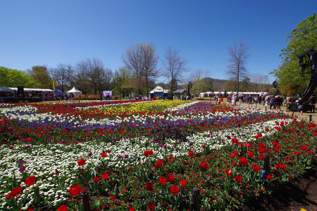 Canberra Floriade. 