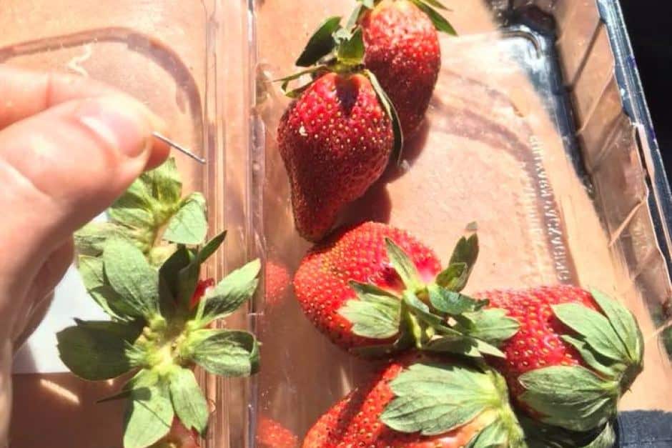 Packet of strawberries with needle