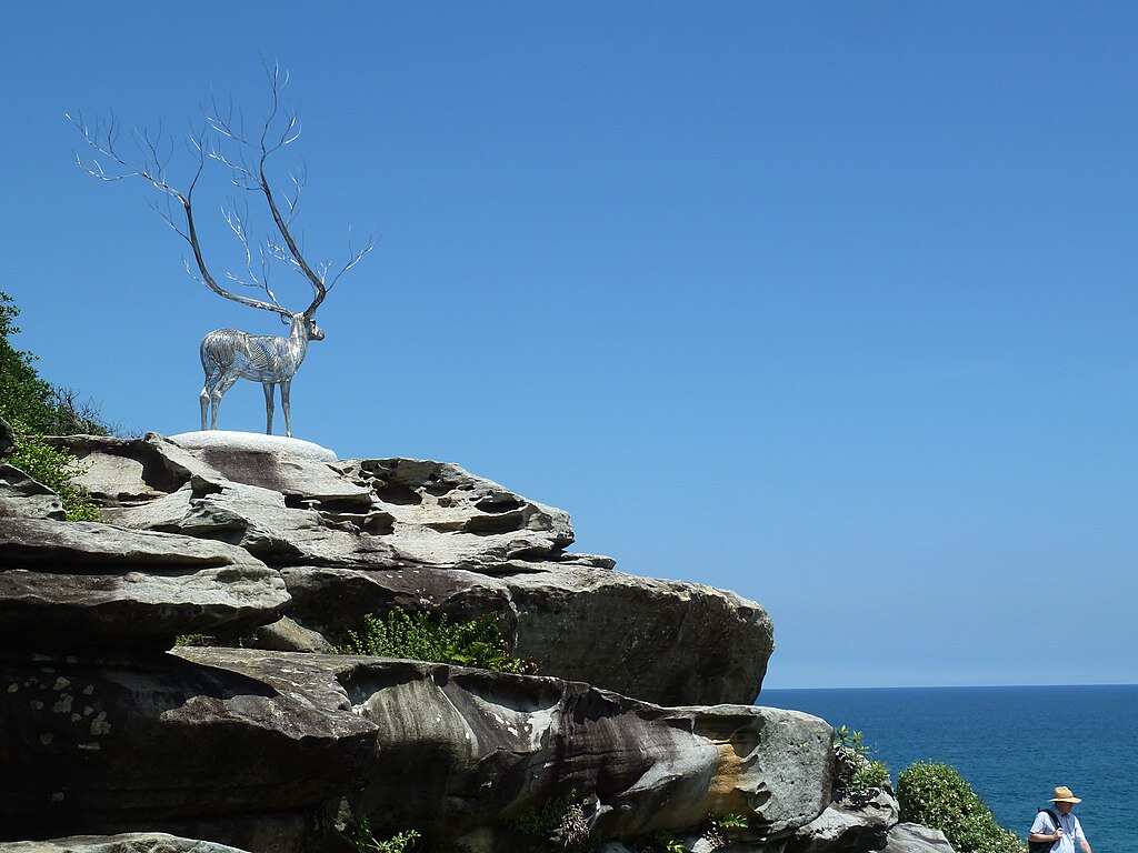Image of Mark's Park, Tamarama, during Sculptures by the Sea 2011