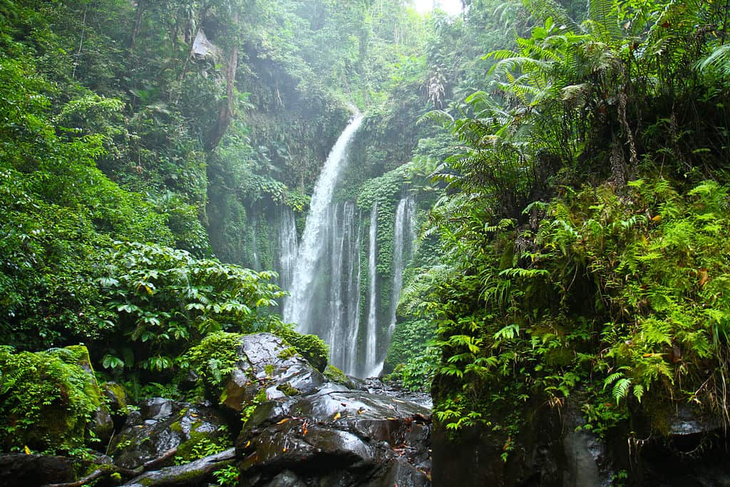 Tiu Kelep waterfall in Lombok island, Indonesia