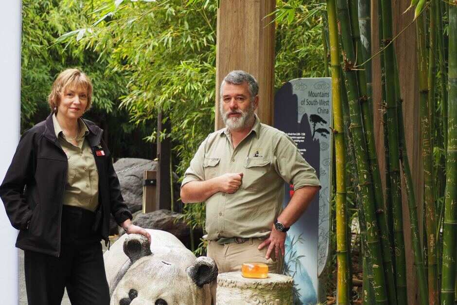 Adelaide Zoo chief executive Elaine Bensted with vet Ian Smith outside the zoo's panda enclosure.