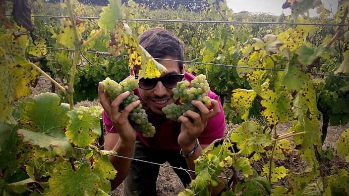 Greek winemaker Labis Kanellakopoulos on wines of Greece. 