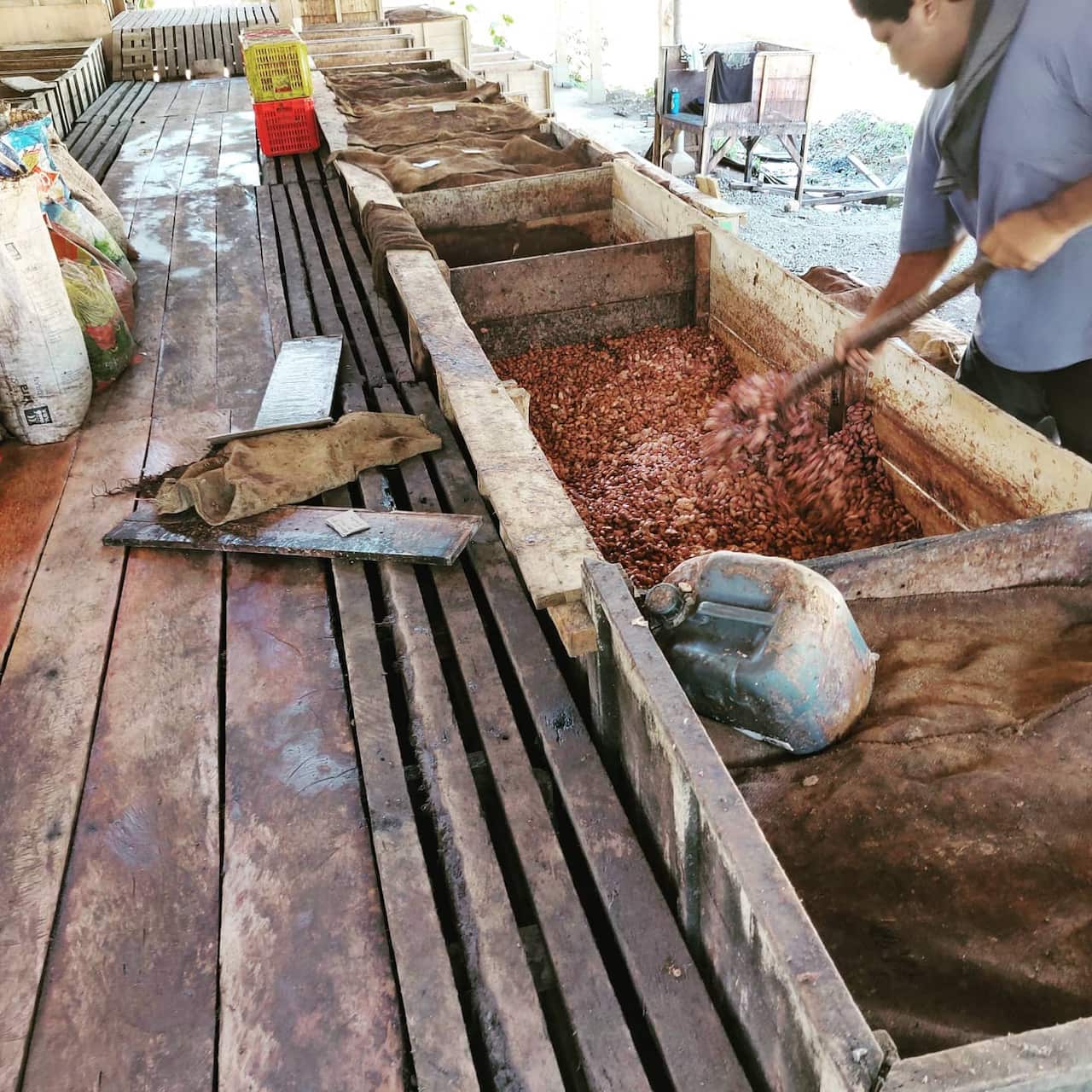 chocolate, cacao beans