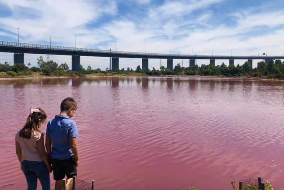 Pink lake in Melbourne