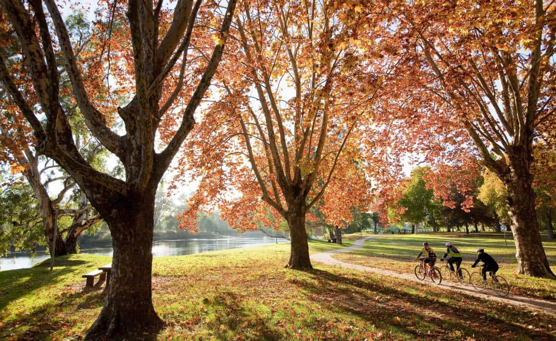Cycling through Noreuil Park, Albury.