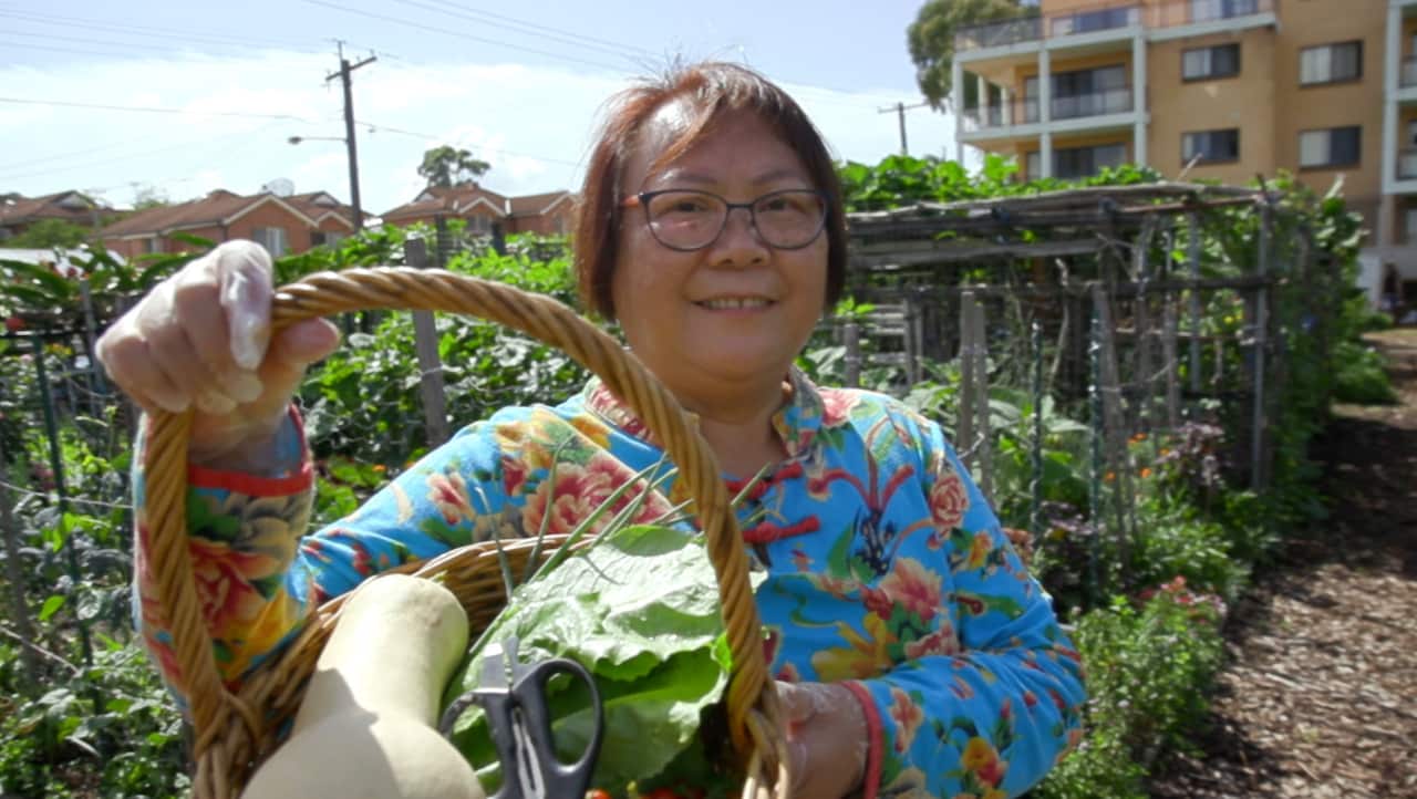 Hurstville Community Garden