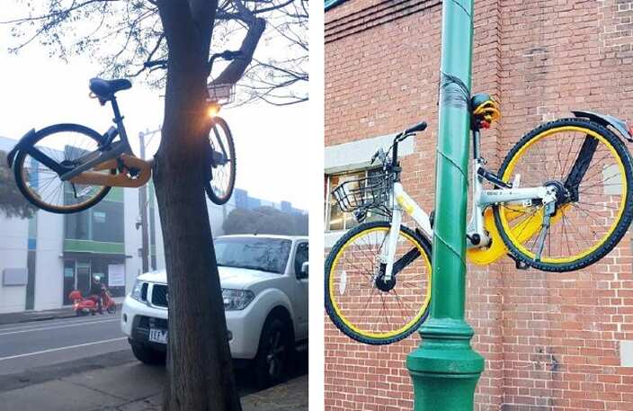 oBikes taped to a tree and a pole in Melbourne