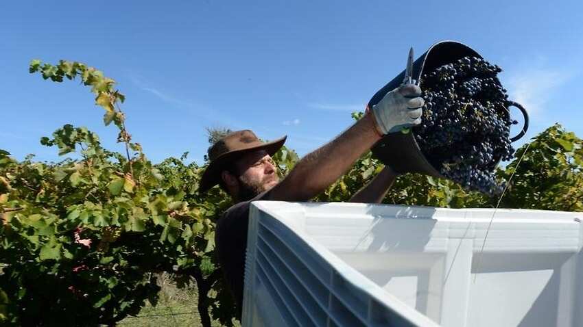 New Farmers visa looks like 457 Visa?