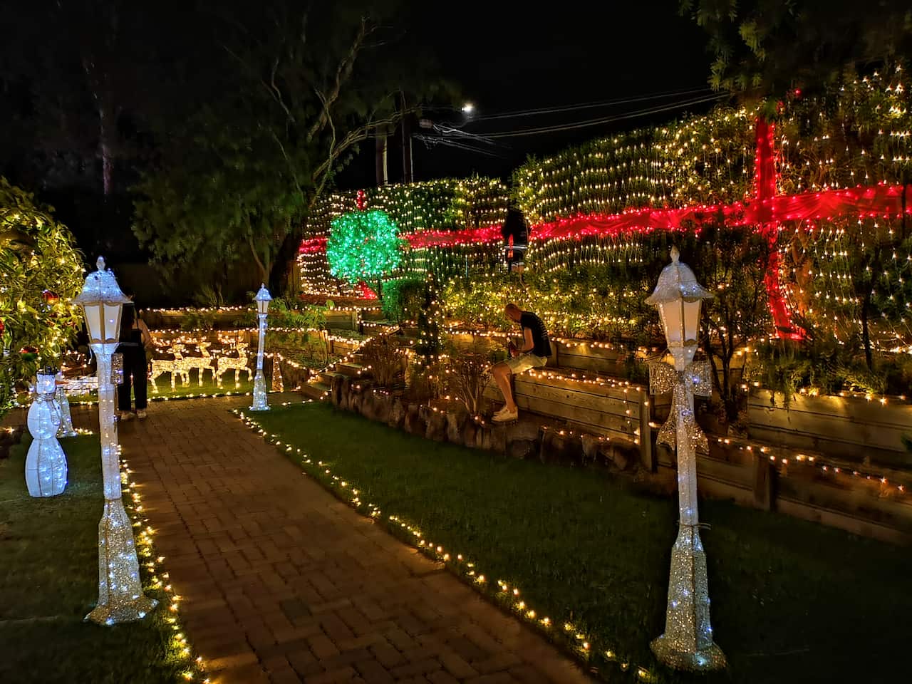 Borgins Street Christmas lights