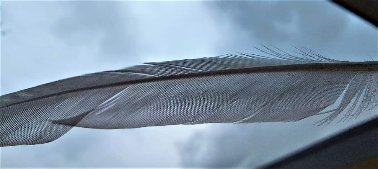 Icarus and Daedalus: An ancient Greek myth for kids by Greek Australian young students. 