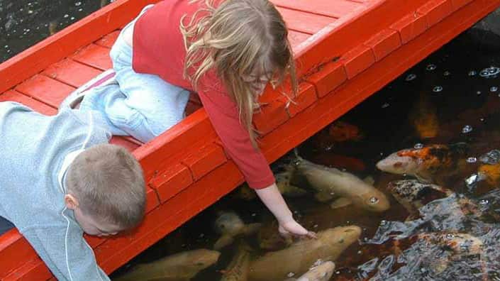 Trung tâm nghệ thuật Campelltown