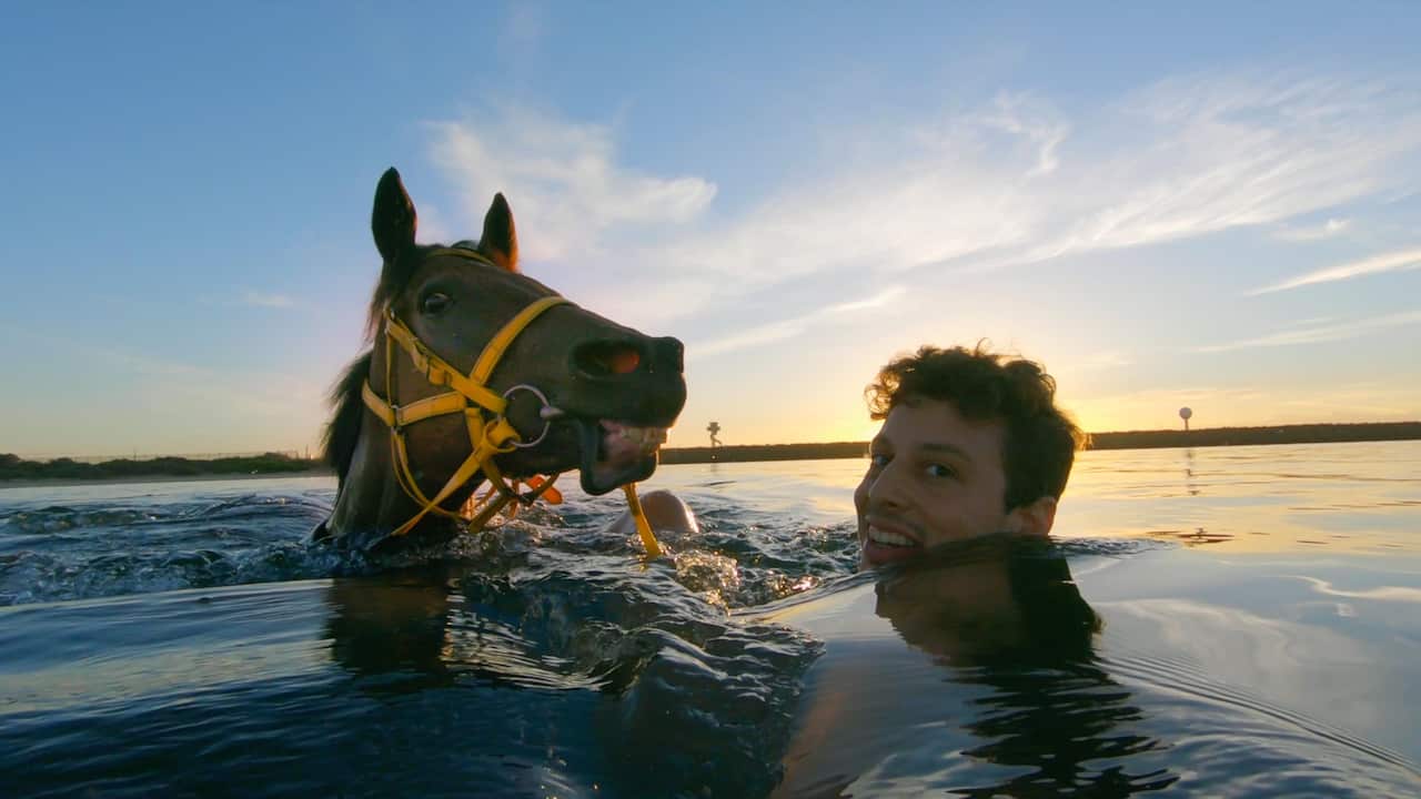 Shady El-Agamy taking one of the race horses for a swim at the beach as part of their training.