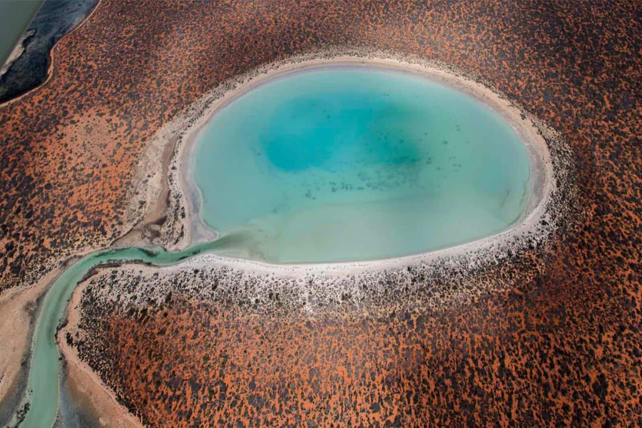 1. 搭上观光飞机，俯瞰西澳鲨鱼湾宛若玉佩般的泻湖。