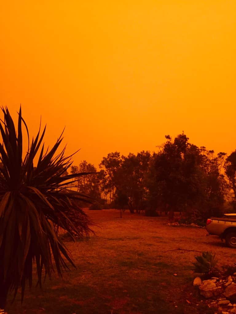 All tourists have now been urged to leave the NSW south coast immediately after this week's deadly fire conditions.