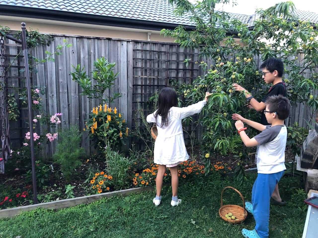 Thiên nhiên và vật nuôi làm giảm áp lực và giúp cho trẻ sống hiền hòa, yêu đời