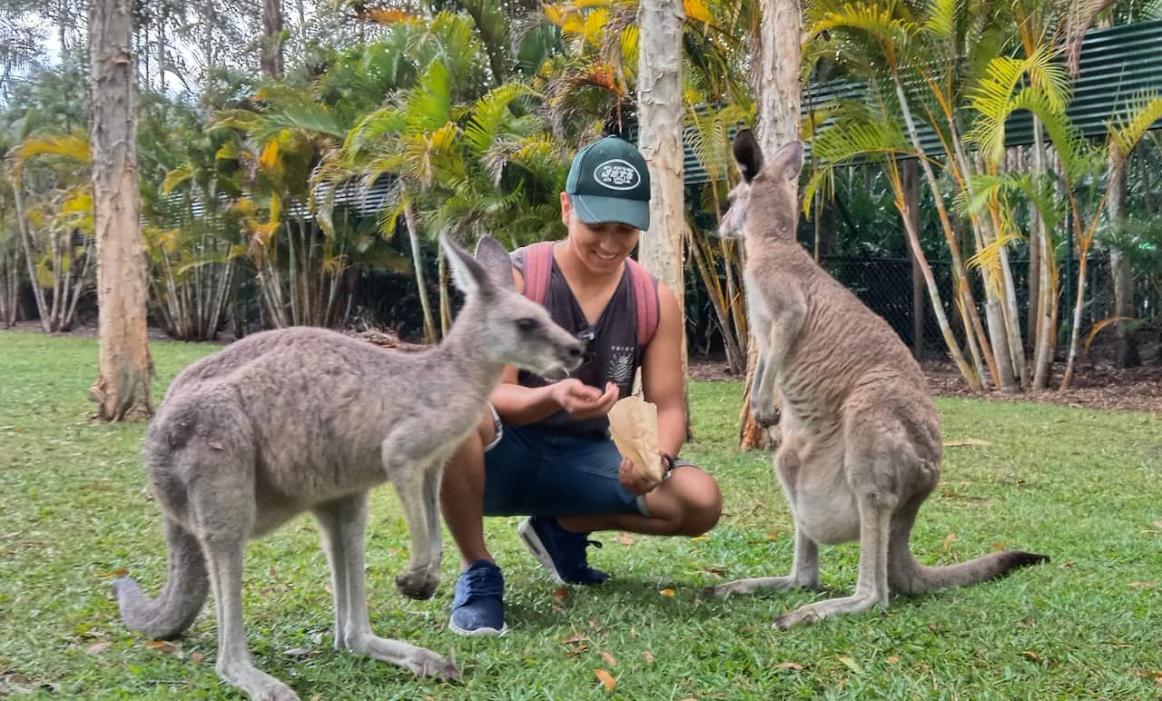 Yhovany Torres enjoying the company of kangaroos. 