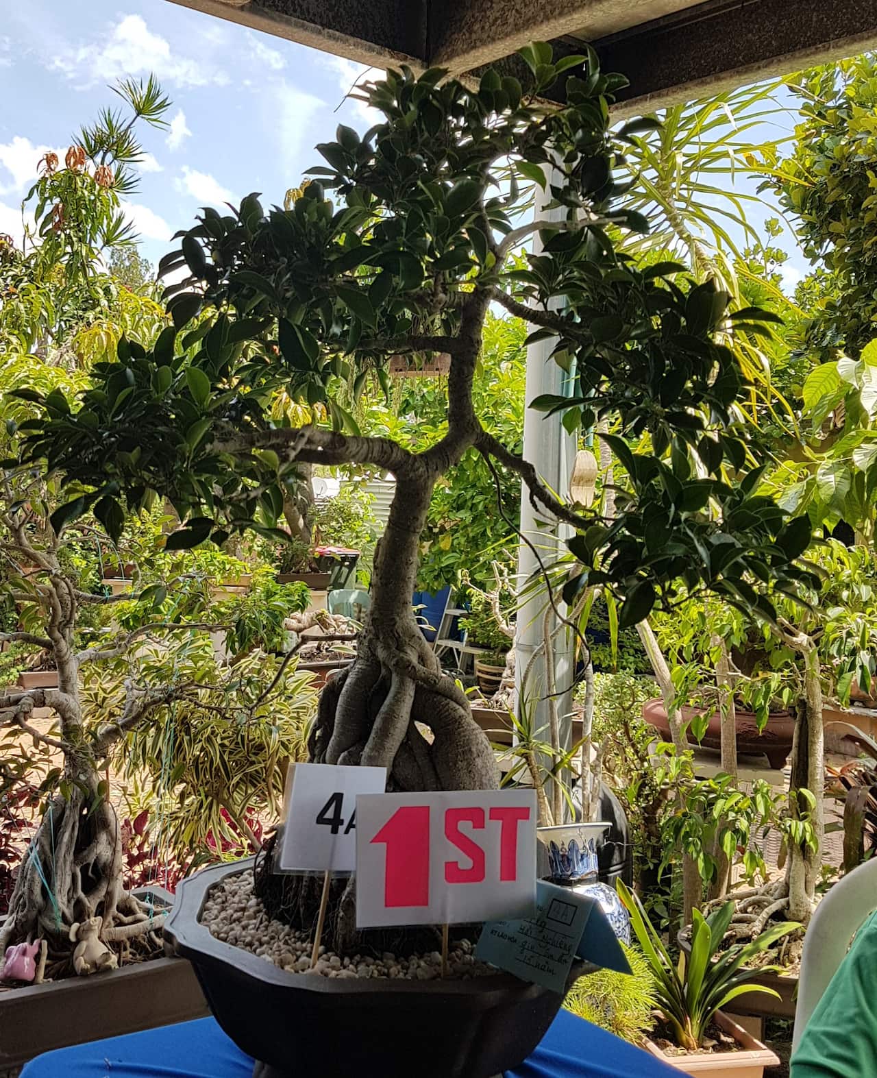 Giải nhứt đồng hạng