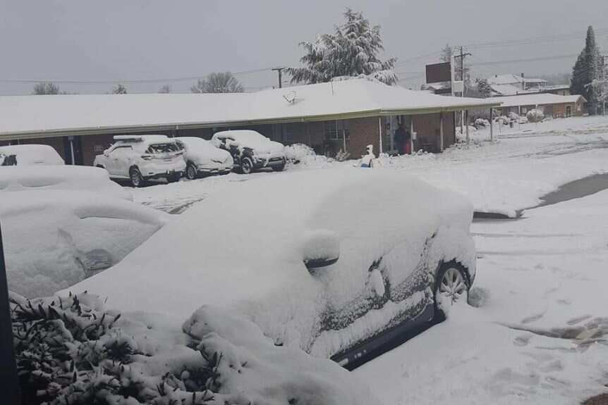 Cars blanketed in snow at Oberon.