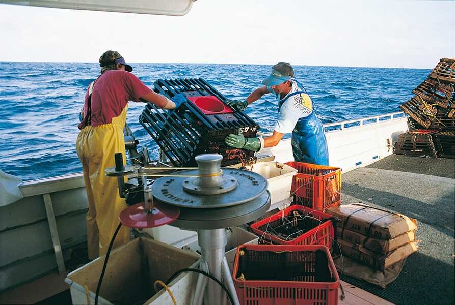 Fishermen from the West Australian rock lobster fishery retrieving baited pots 