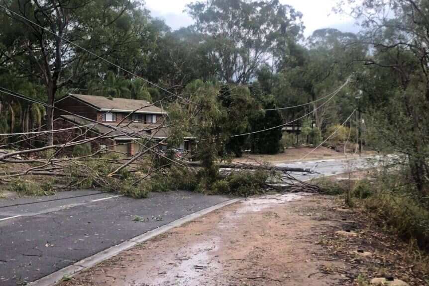 Energex says about 190,000 lightning strikes were recorded in Brisbane storms on Sunday.