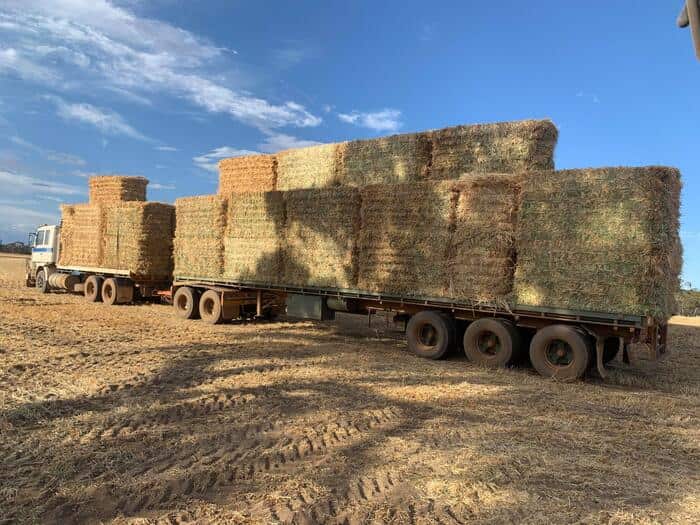 truck carrying hay