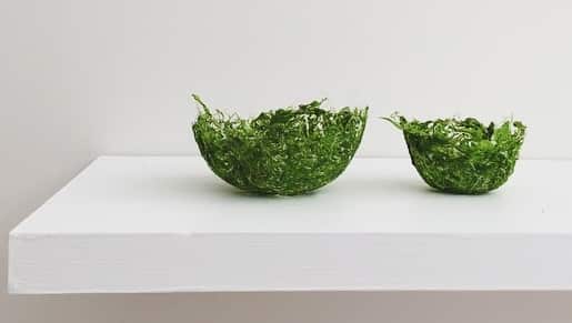 Jessica Zinga's Sea Harvest.