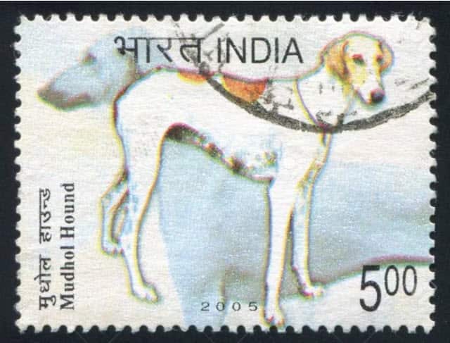 Mudhol Hound stamp