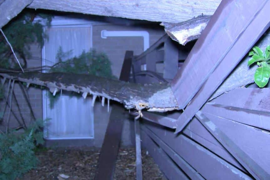 The strong winds brought down trees in several Melbourne suburbs.