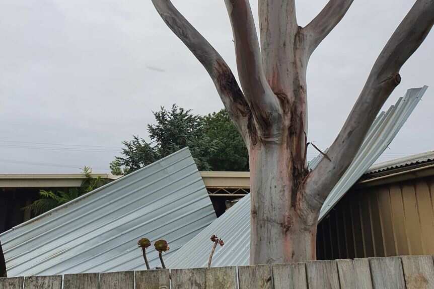 Wyndham, in Melbourne's outer south-west, was one of the areas hardest hit by the storm.
